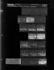 Tobacco arriving at a warehouse (20 negatives), August 22-24, 1966 [Sleeve 51, Folder d, Box 40]